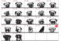 Diseños de Pug