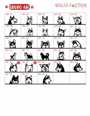Colgador de correas con 3 mascotas