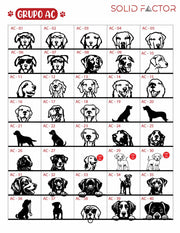Colgador de correas con 3 mascotas