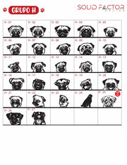 Colgador de correas con 3 mascotas